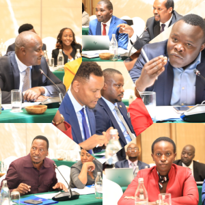 Read more about the article CAF Engages Senate Finance Committee on Equitable Development and Revenue Allocation Bills.
